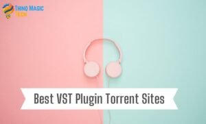 plugin torrent