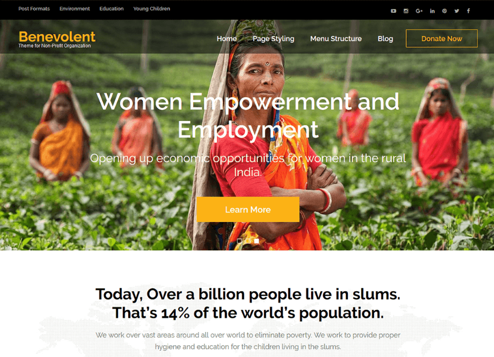 Build a Nonprofit Website on WordPress
